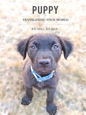 cover image of Puppy, Translating Your World